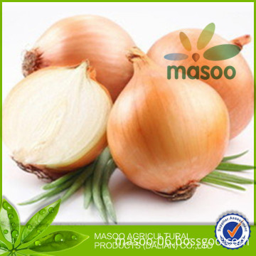 Chinese Fresh onions, fresh vegetables, good quality